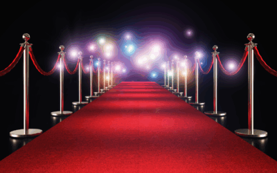 CE N’EST PAS TOI QUI EST TROP …..